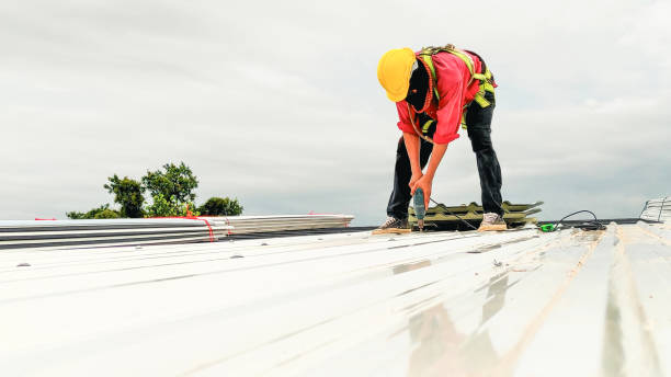 Professional Roofing service in Little Canada, MN